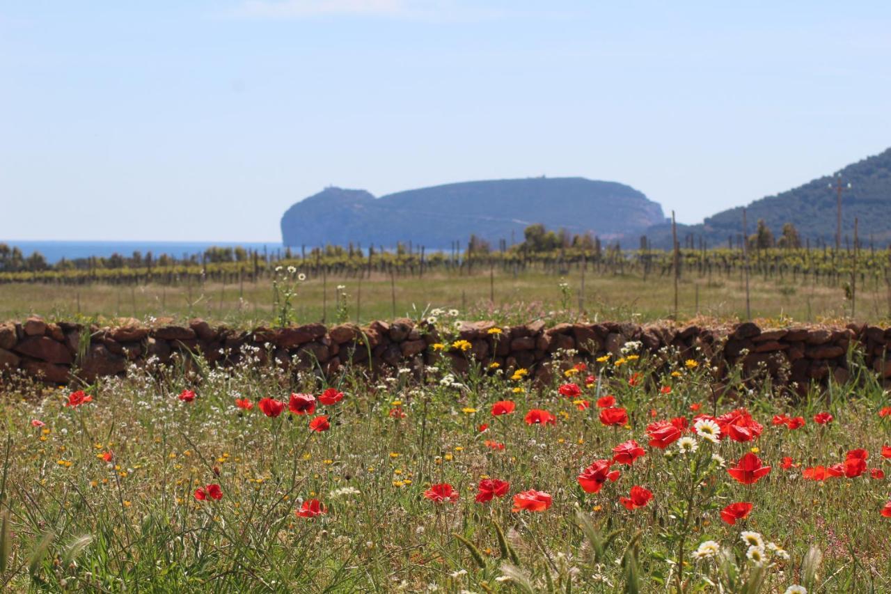 Agriturismo Graziano E Barbara Porto Conte Exteriör bild