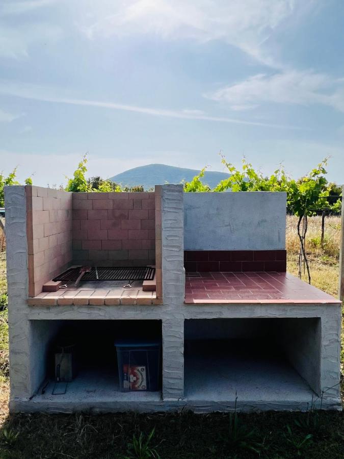 Agriturismo Graziano E Barbara Porto Conte Exteriör bild