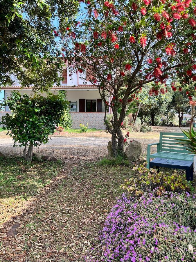 Agriturismo Graziano E Barbara Porto Conte Exteriör bild
